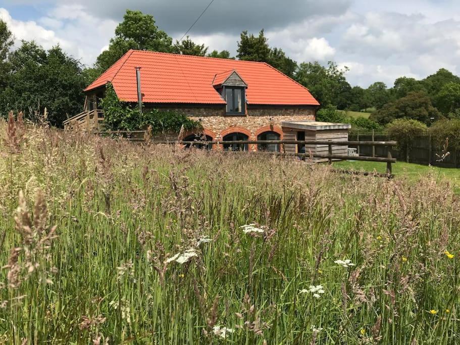 Burleyhayes Barn - Secluded Devon Hideaway. Villa Hemyock Exterior photo