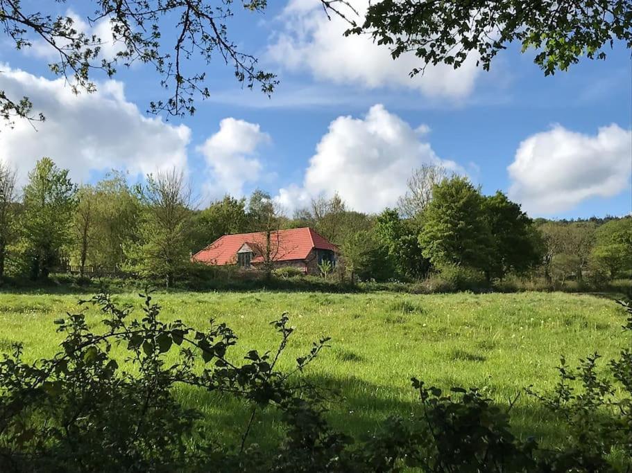 Burleyhayes Barn - Secluded Devon Hideaway. Villa Hemyock Exterior photo